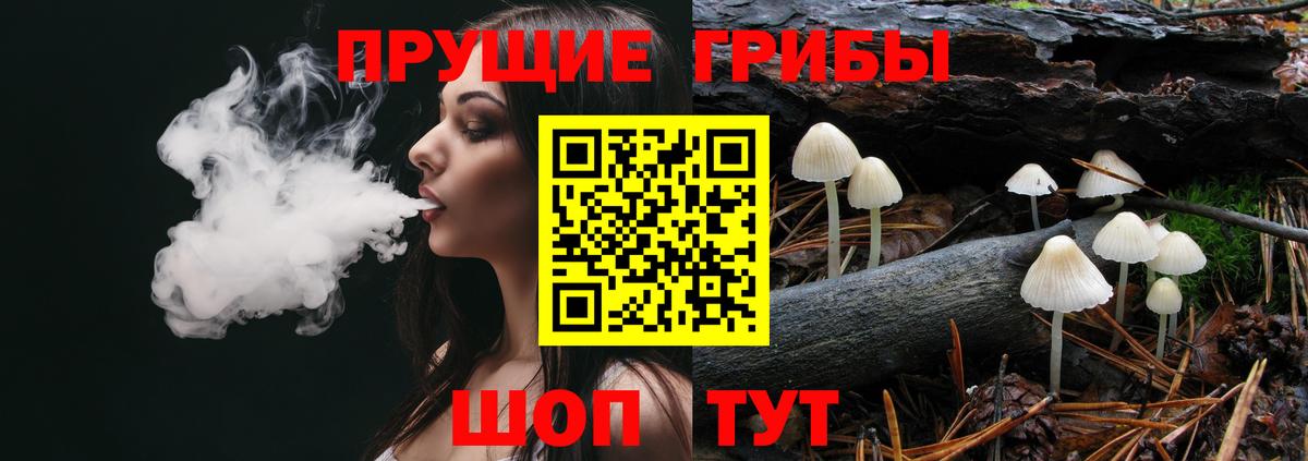 Псилоцибиновые грибы мухоморы Соль-Илецк